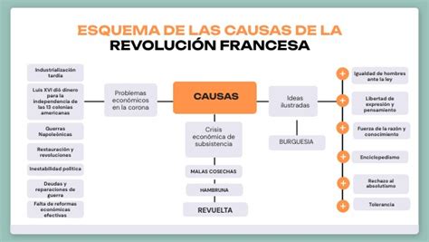 Esquema de las causas de ingreso de niños a residencias del Sename