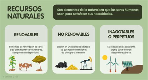 infografía sobre la distribución de recursos en el Sename según Libertad y Desarrollo