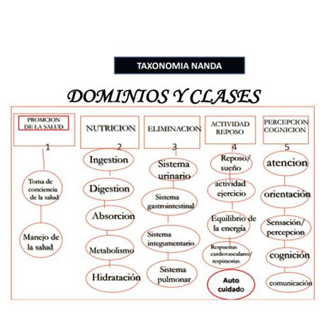 Esquema de la taxonomía NANDA, dominios y clases