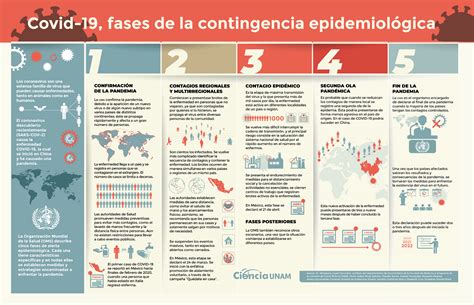 Esquema de la cadena de contagio de COVID-19 y puntos de intervención