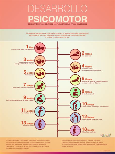 Infografía sobre las diferentes áreas del desarrollo psicomotor en la infancia temprana