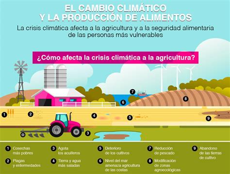 Esquema de los impactos del cambio climático en la agricultura