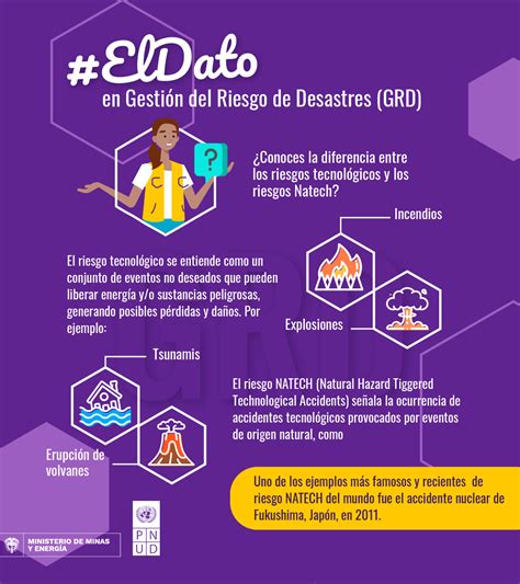Infografía: Componentes del riesgo de desastres según UNISDR