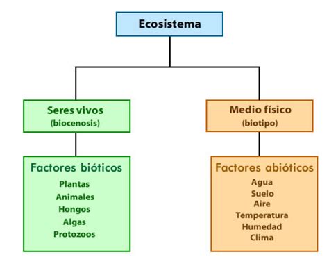 Esquema: Ecosistema de soluciones de Mitratech