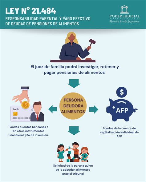 Infografía detallando los pasos del procedimiento de pago efectivo de deudas de pensiones de alimentos según la Ley N° 21.484