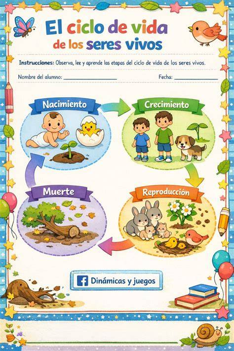 Infografía: Ciclo de vida de la vulnerabilidad y mitigaciones clave