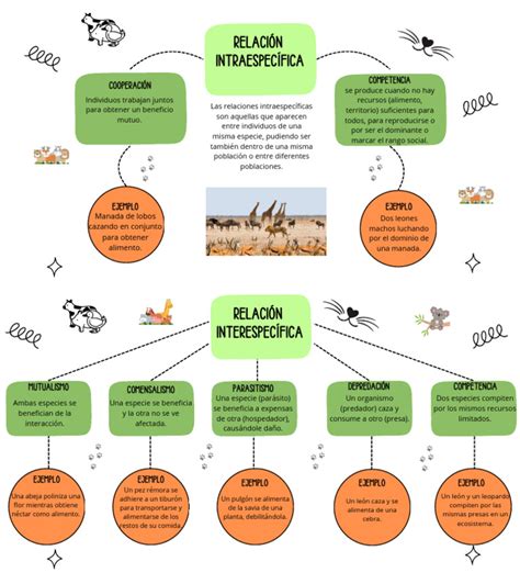 Esquema de las interacciones entre SENAME, tribunales y ONGs.