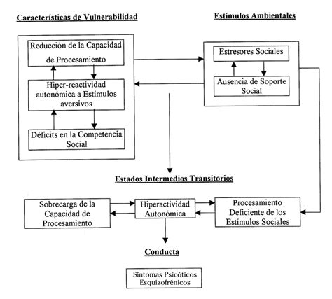 Diagrama explicativo del modelo de vulnerabilidad, estrés y afrontamiento de Nuechterlein, mostrando la interacción entre factores biológicos, psicológicos y sociales