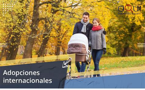 Infografía: Cifras de adopciones internacionales en Chile