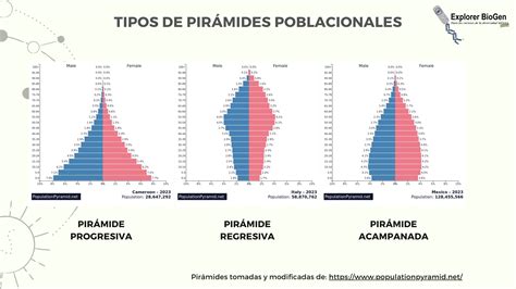 Gráfico comparativo de pirámides poblacionales tradicionales vs. de zoológicos con predominio de animales geriátricos