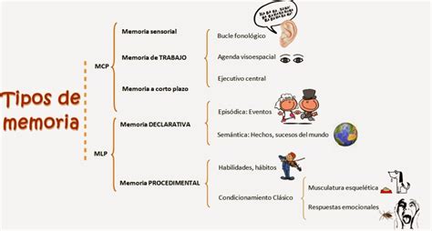 Infografía sobre los tipos de memoria afectados en la vejez