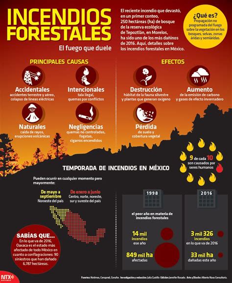 Infografía sobre las causas, propagación y consecuencias de los incendios forestales