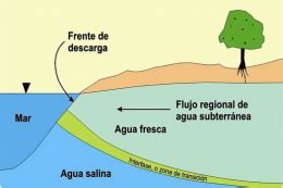 Esquema de intrusión salina en un acuífero costero, mostrando el avance del agua salada bajo el agua dulce