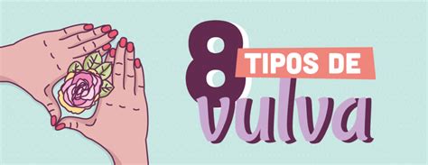 Ilustraciones mostrando la diversidad de formas y tamaños de vulvas
