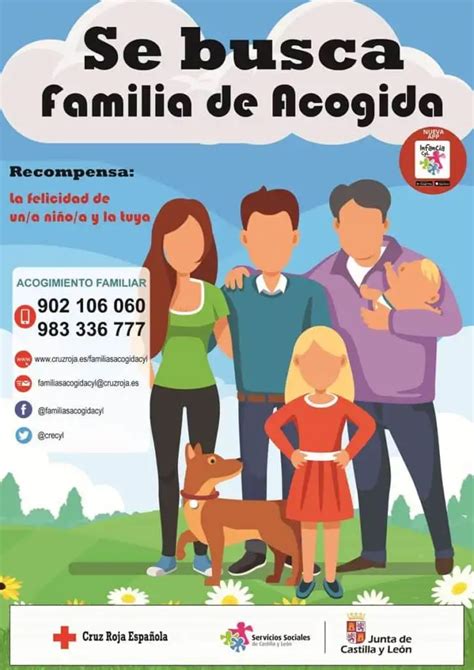 Infografía sobre los requisitos para ser familia de acogida