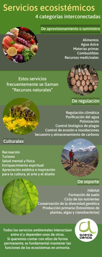 Infografía sobre los tipos de mora previsional y sus consecuencias