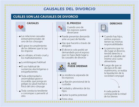 Esquema de las principales causales de ingreso de NNA a centros del SENAME.