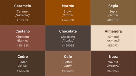 Comparativa de abrigos en diferentes tonos (negro, marrón claro, café oscuro) destacando sus características y usos.