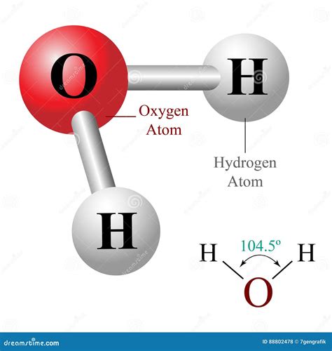 Esquema de la molécula de agua (H2O)