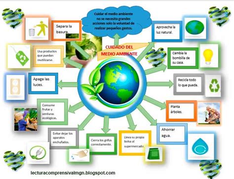 Infografía sobre los componentes del medio ambiente