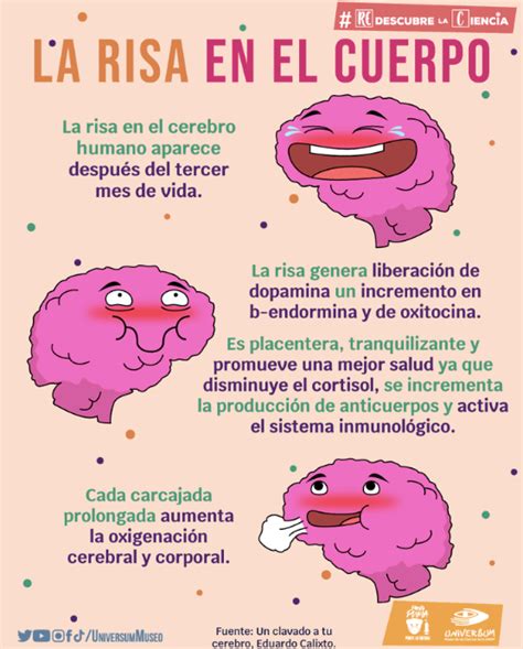 infografía sobre los efectos de la risa en el cuerpo y el cerebro