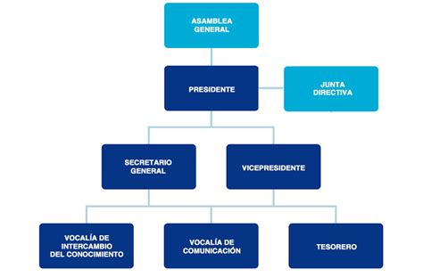 Infografía: Estructura organizativa de una asociación de jubilados