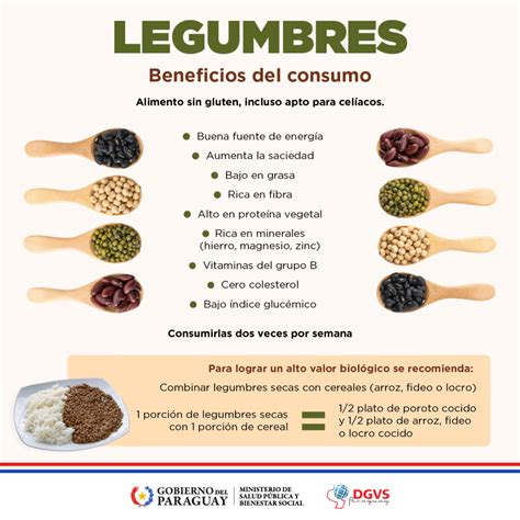 esquema que muestra la acción de la fibra de las legumbres en el sistema digestivo.