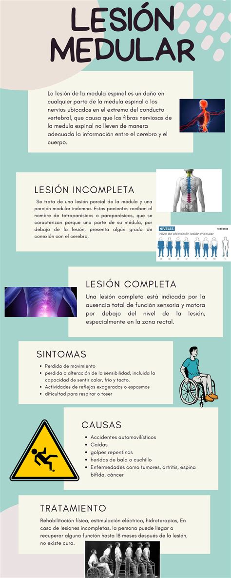 Infografía mostrando las diferentes causas de lesión medular.