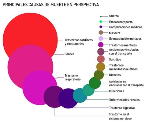 Infografía sobre las causas de muerte en centros SENAME