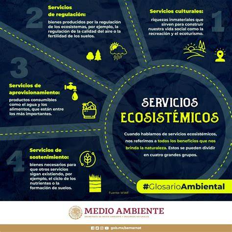 Infografía: Mapa de servicios fonoaudiológicos en Concepción