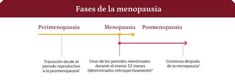 Esquema de las fases de la menopausia: perimenopausia, menopausia y postmenopausia.