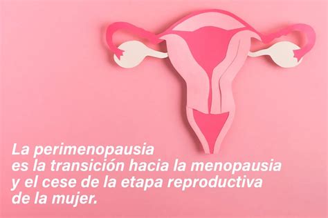 Diagrama de las fluctuaciones hormonales durante la perimenopausia y menopausia.