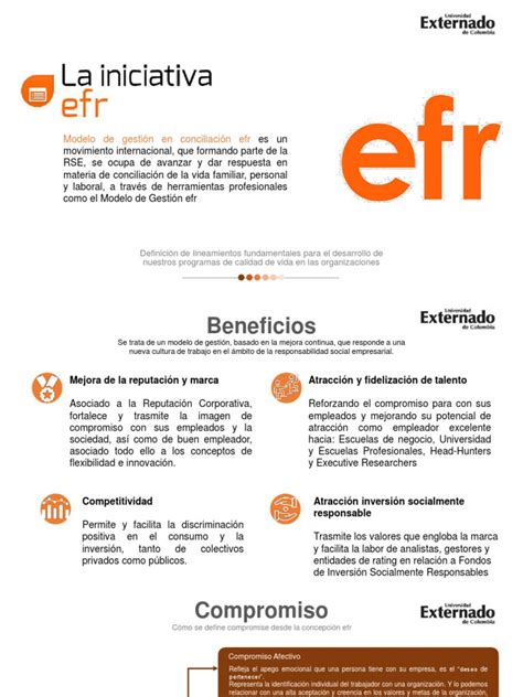 Logotipo o representación gráfica del Modelo efr®