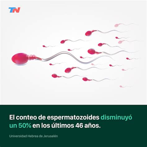 infografía sobre el declive global del conteo de espermatozoides a lo largo del tiempo