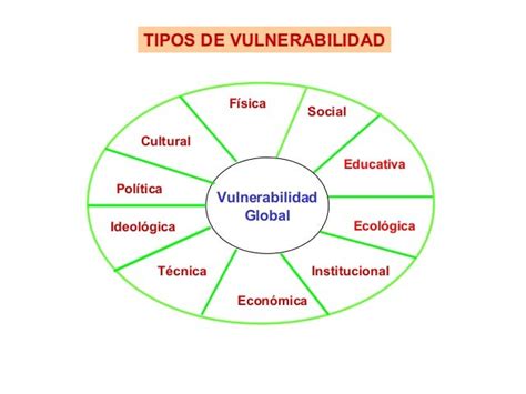 Esquema conceptual de la vulnerabilidad y sus tipos