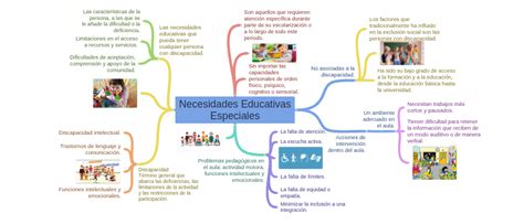 esquema visual sobre los componentes de las Necesidades Educativas Especiales