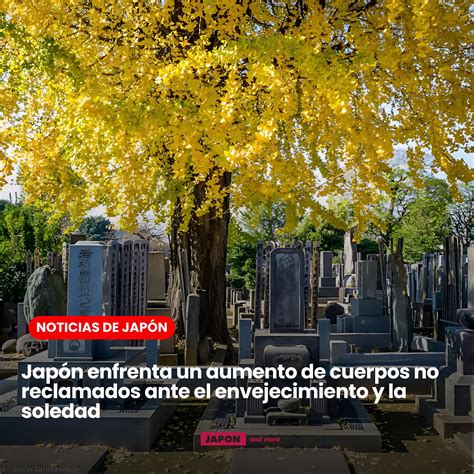 Infografía sobre el número de cuerpos no reclamados en el SML