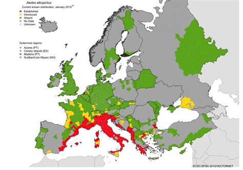 Mapa de distribución del vector Aedes albopictus en Europa y Cataluña