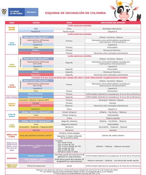 Infografía o esquema sobre el proceso de vacunación en residencias de menores