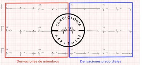 Gráfico de la derivación de NNA a centros