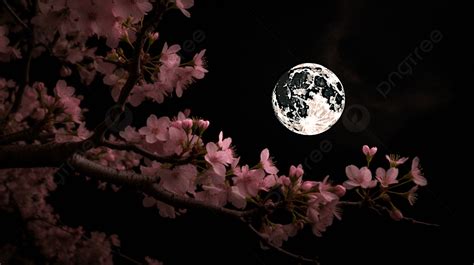 Imagen temática del barrio de Flores en la noche