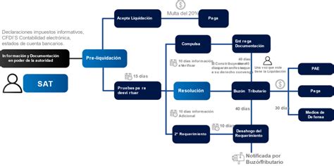 Esquema de las entidades y personas que pueden ser objeto de revisión fiscal por parte del SAT