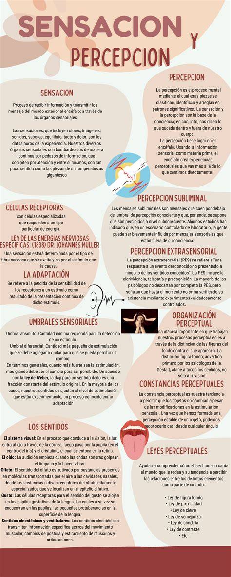 Infografía sobre sentidos subjetivos, configuraciones subjetivas y subjetividad
