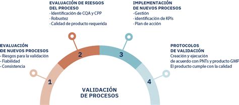 Infografía detallando el proceso de validación de cuidadores y asistentes en Nidmi.
