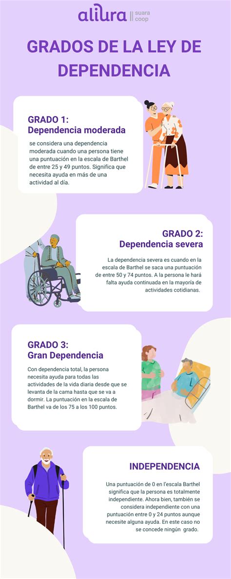 infografía resumen de las principales medidas de la reforma de la ley de dependencia