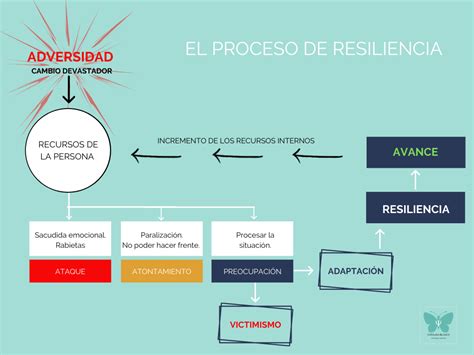 Esquema: El ciclo de la resiliencia en adolescentes frente a la adversidad