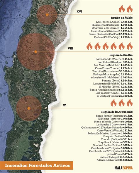 Infografía: Mapa de zonas con mayor incidencia de incendios y denuncias en 2026