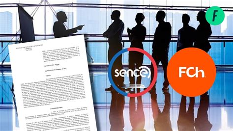 Esquema de las falencias detectadas por la Contraloría en la gestión de Sename