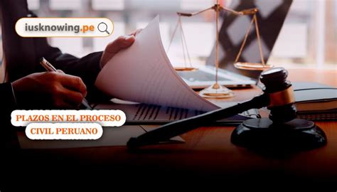 Infografía sobre los derechos y plazos en el proceso de pensión por invalidez