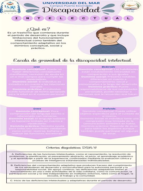 Diagrama que ilustra los criterios diagnósticos de discapacidad intelectual según el Decreto Nº 170 de Chile.